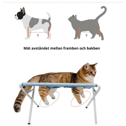 Pawlio™ – Lösningen för trygg pälsvård hemma